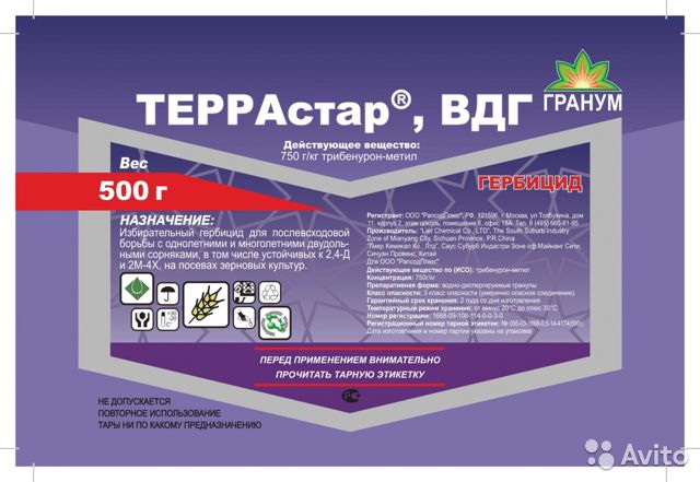 «Террастар»