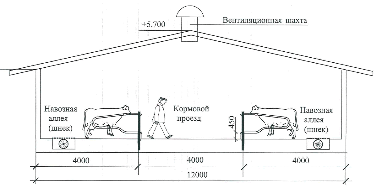 сарай для коров