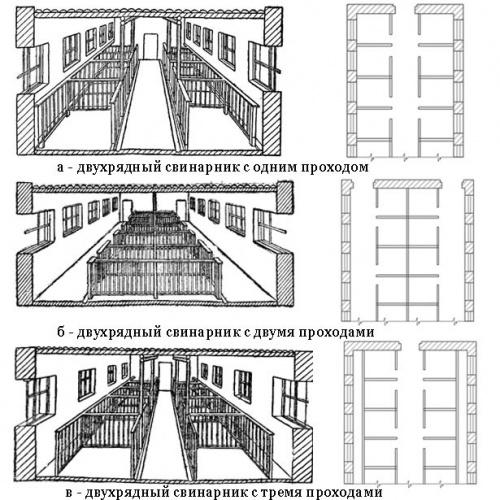 строительство свинарника