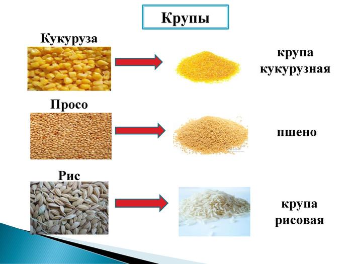 разница между пшеном и просом крупы