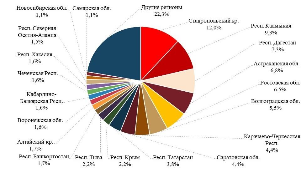 овцеводство в россии