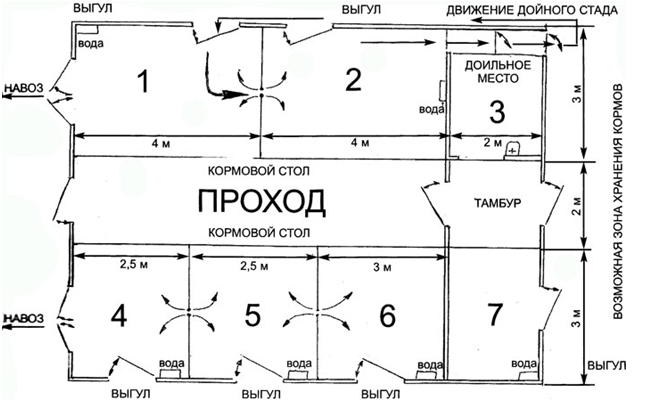 чертеж коровника