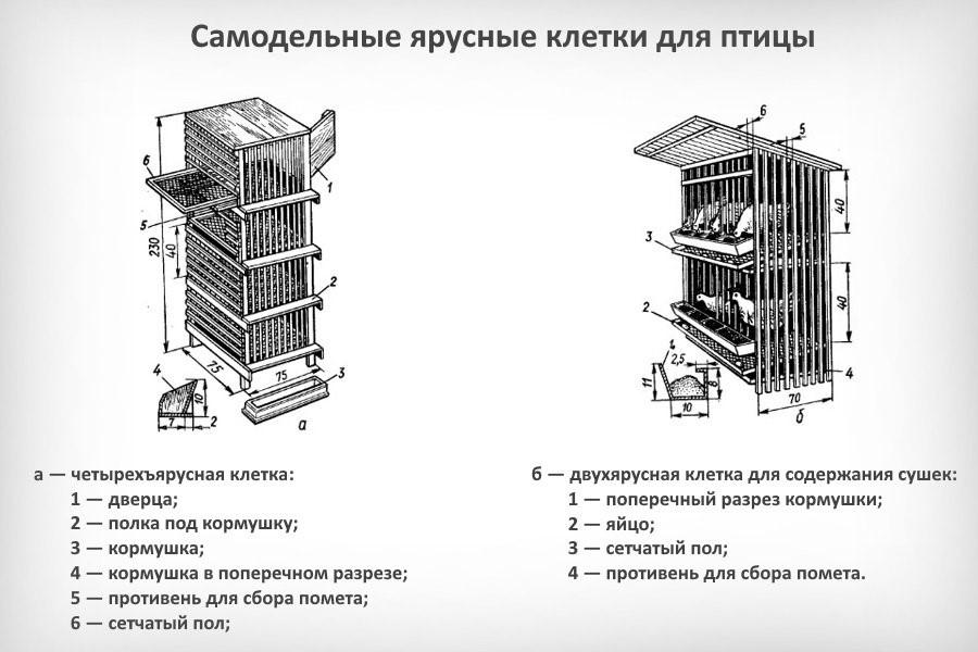 вольер для цесарок