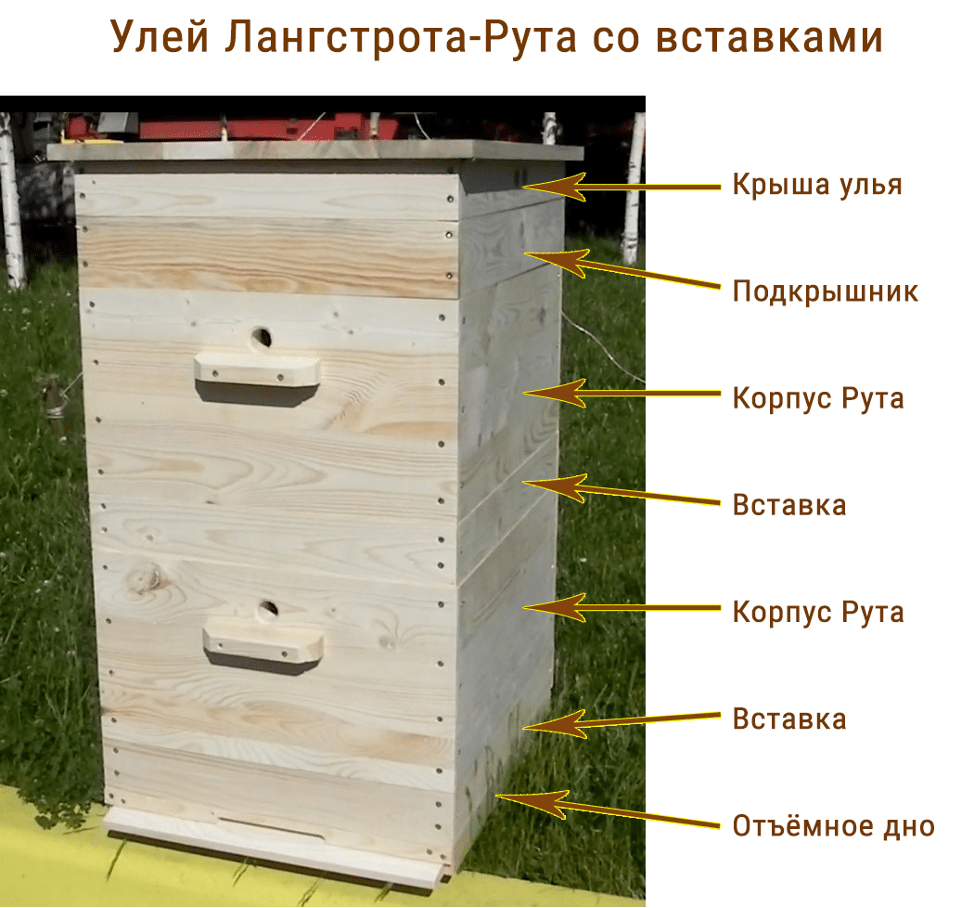 Улей рута