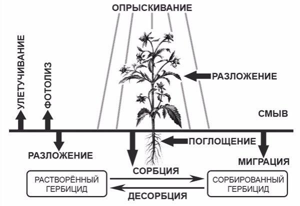 расчет гербицида 