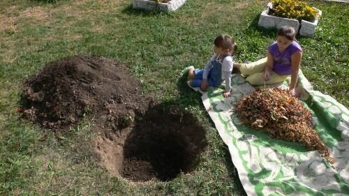 посадка яблони в подмосковье