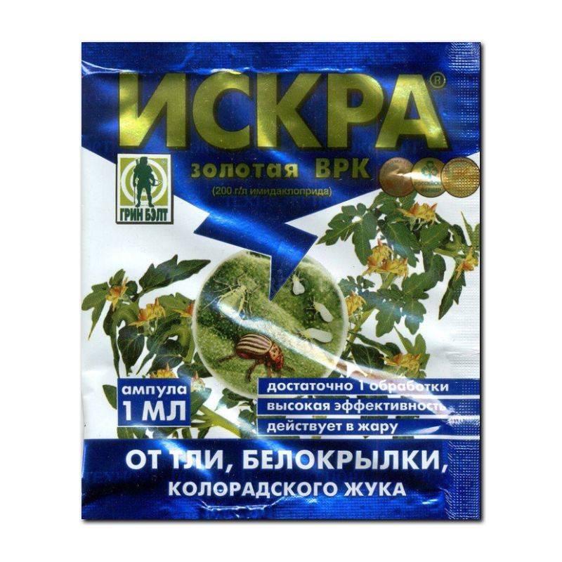 искра золотая