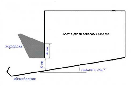 перепелятник своими руками