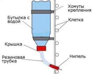 Схема устройства капельного устройства