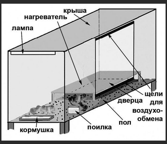 перепелятник своими руками