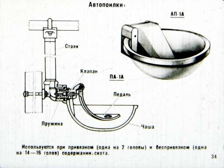 поилки для коров