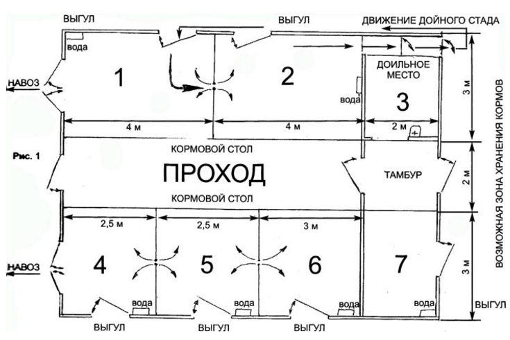 Устройство коровника