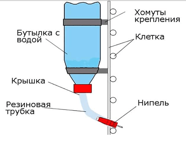 поилка для утят своими руками