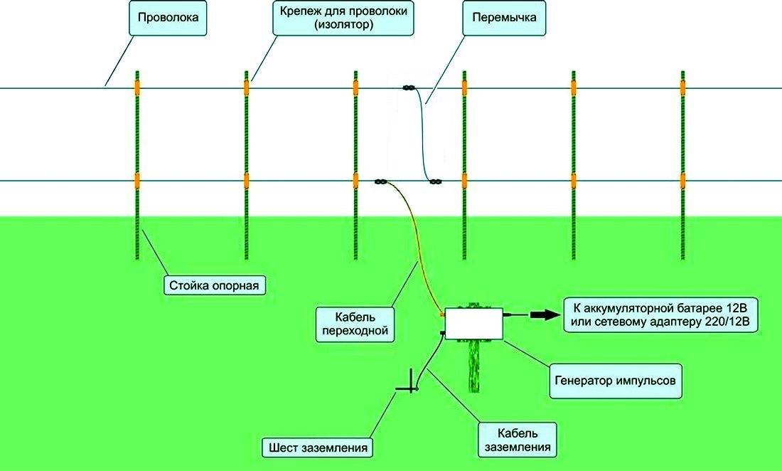 Высота линий для разных животных и птиц