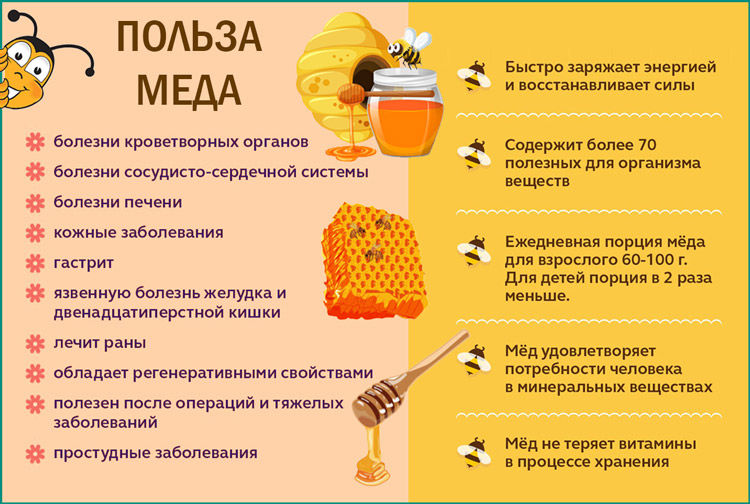 Польза меда презентация 