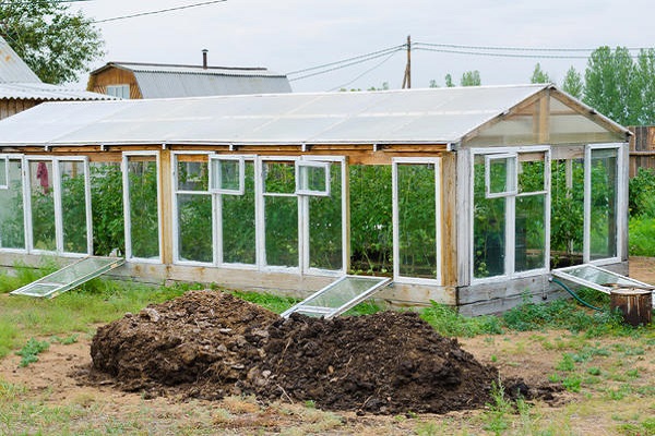 теплица в огороде 