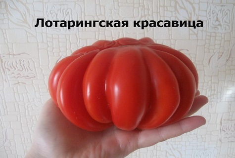 инопланетный корабль 