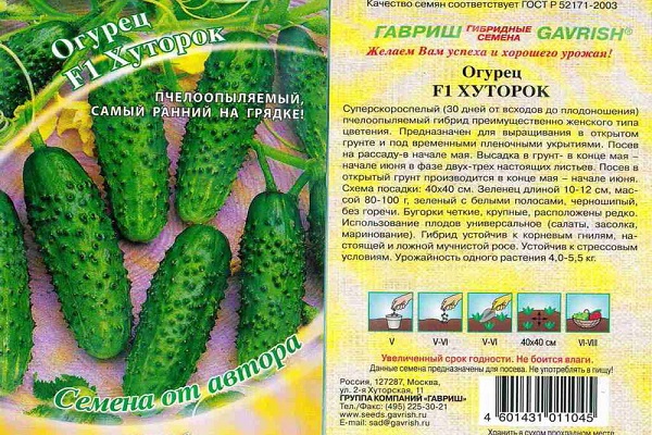 плотные и хрустящие