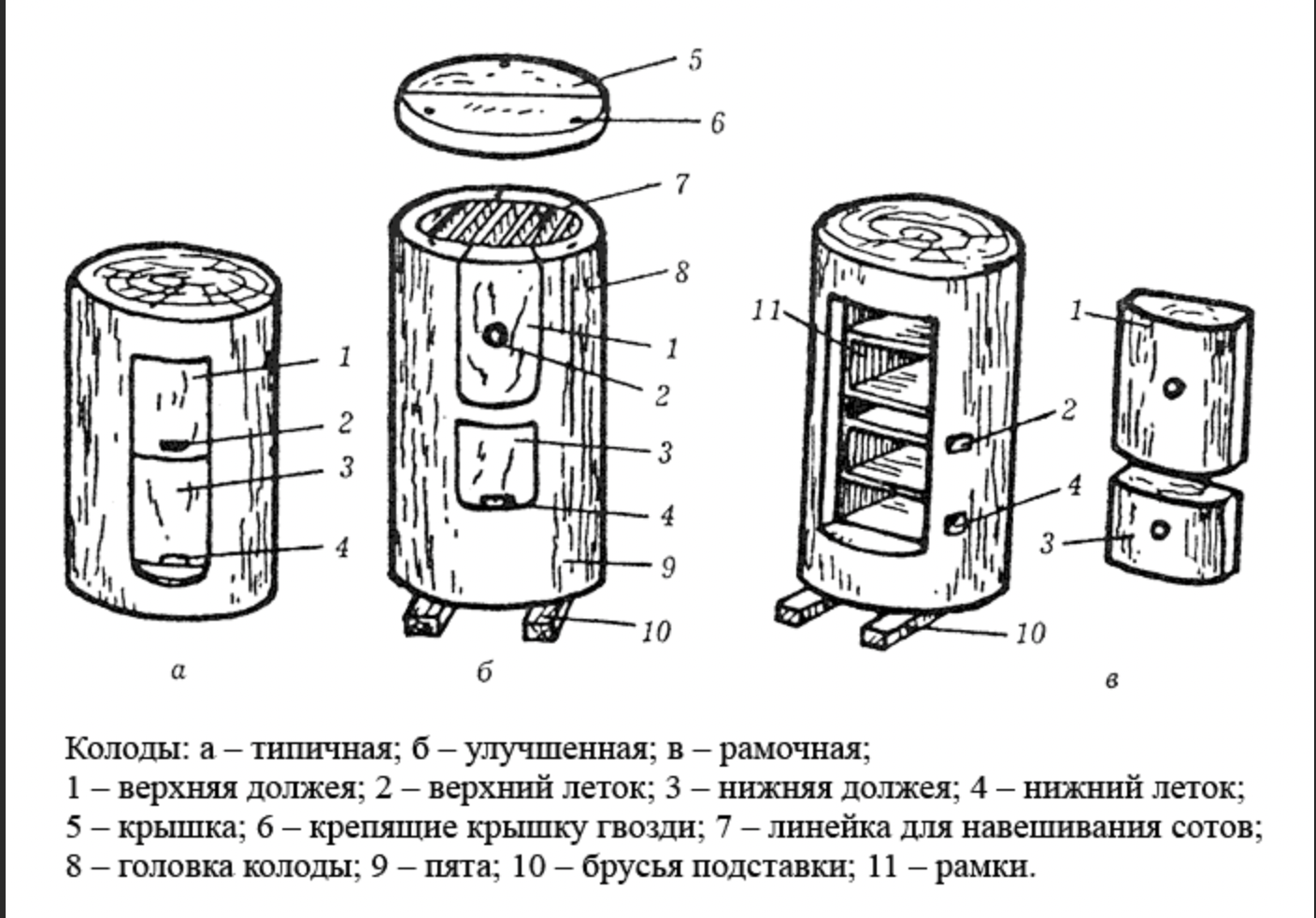 Как сделать колоду для пчел своими руками, чертежи для начинающих