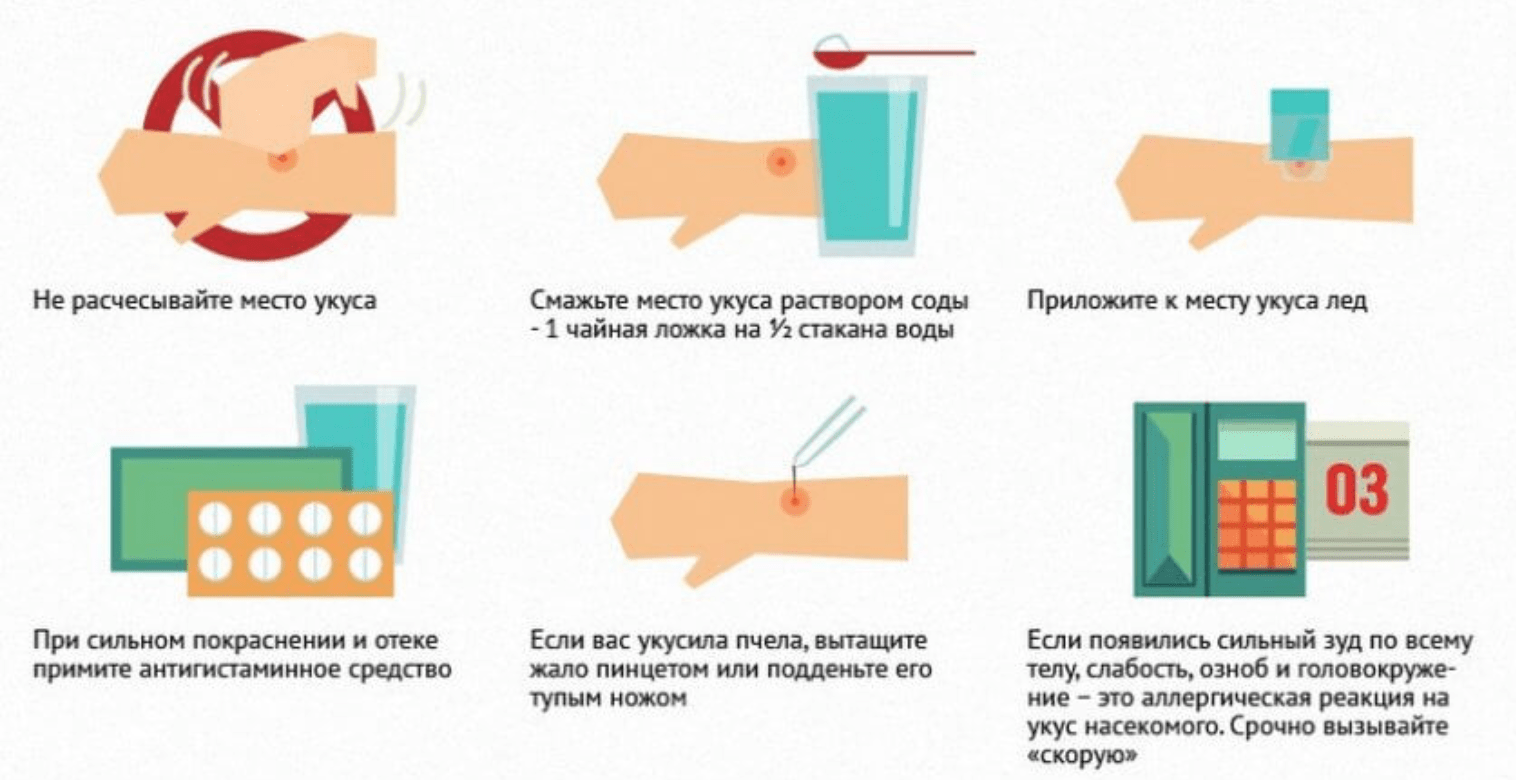 Помощь при укусе