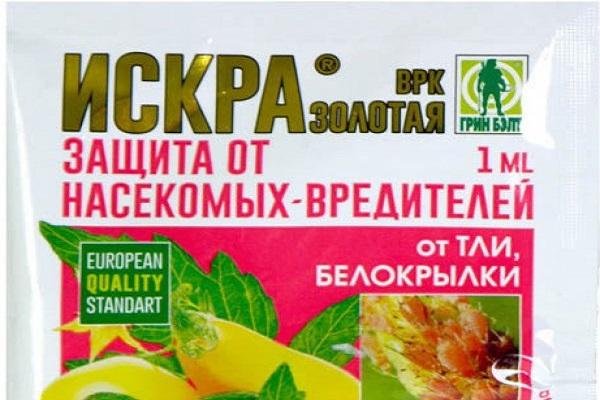 Искра для пионов 