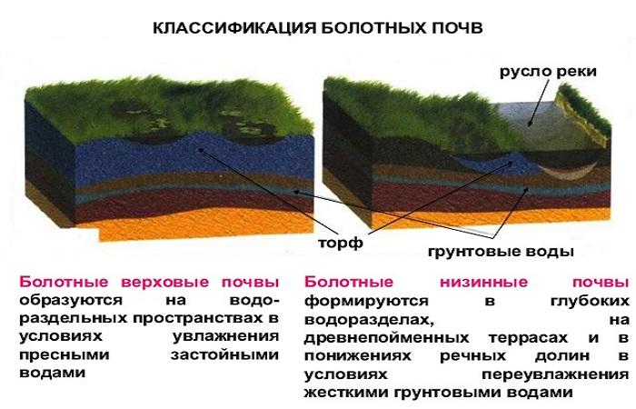 рисунок для понимания 