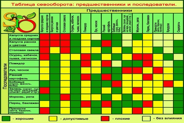 важен севооборот