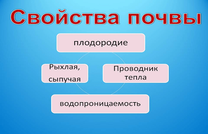 информационная таблица 