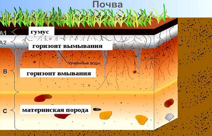 понятие почв