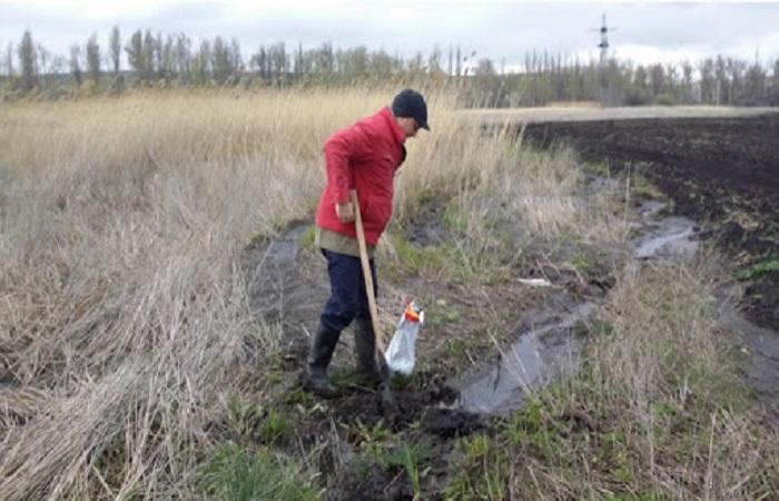 заболеченость на участке 