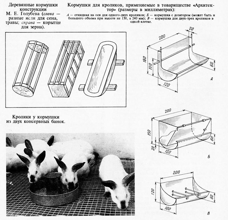 Размеры и чертежи 10 лучших видов кормушек для кроликов