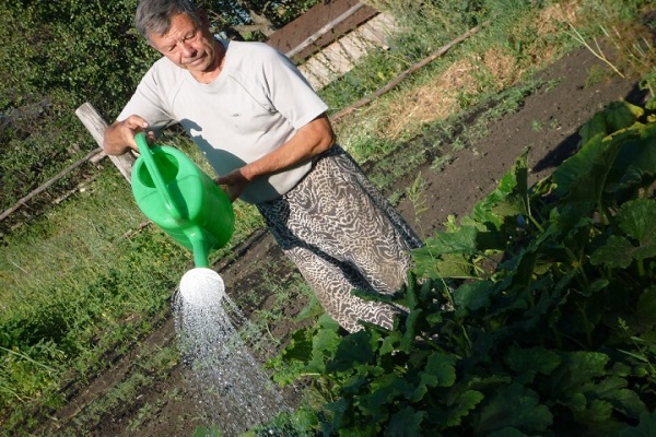 грибковым заболеваниям