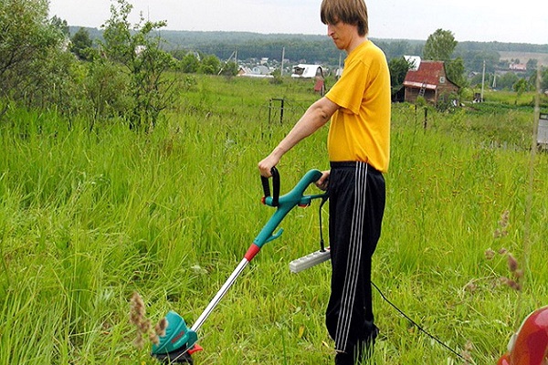 следует укорениться