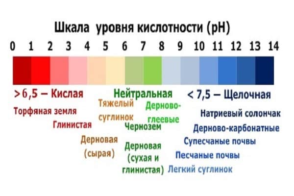 определение кислотности