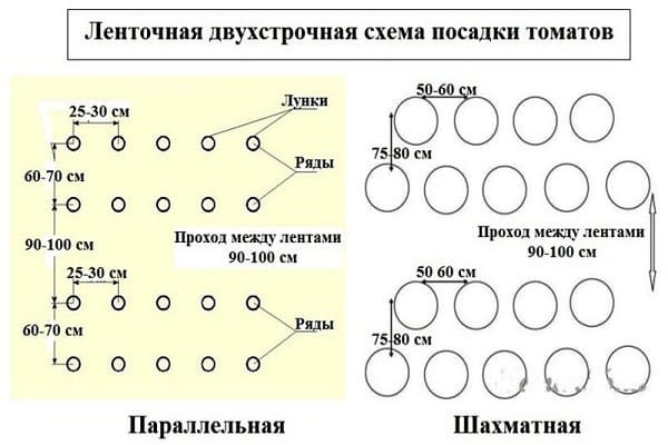 схема посадки