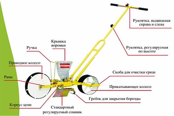 приусадебном участке