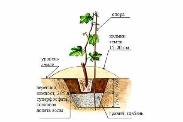 схема посадки 