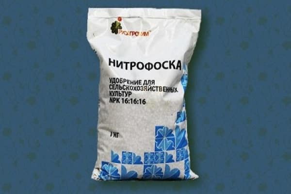 подкормить нитрофоской