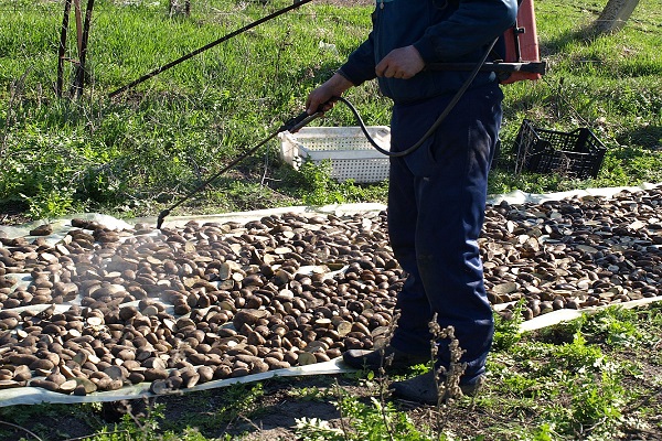 раствор самостоятельно