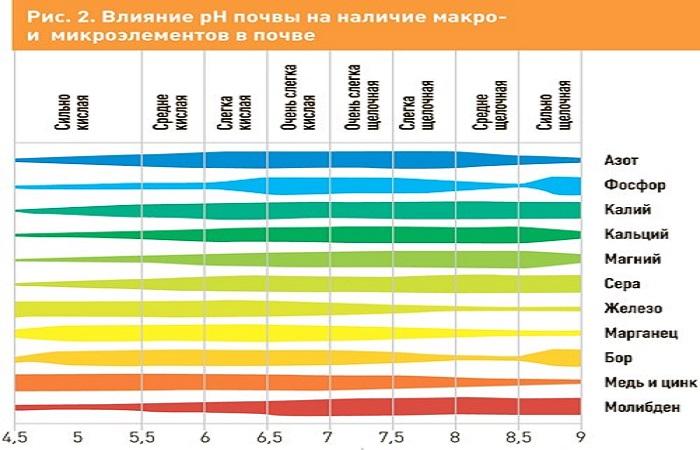 цветная радуга 