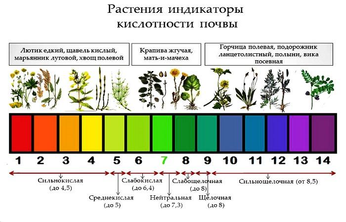 индикатор кислотности 