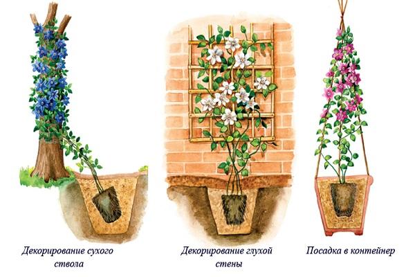 посадка по схеме 