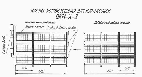 конструкция клеток