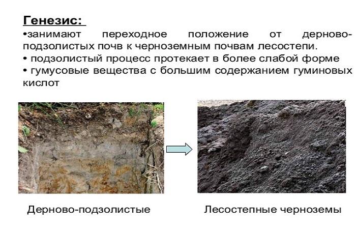 термин образования 