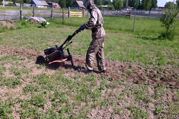 популярное приспособление