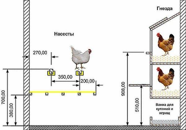 чертеж курятника