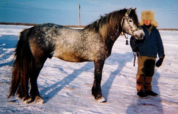 человек в шапке 