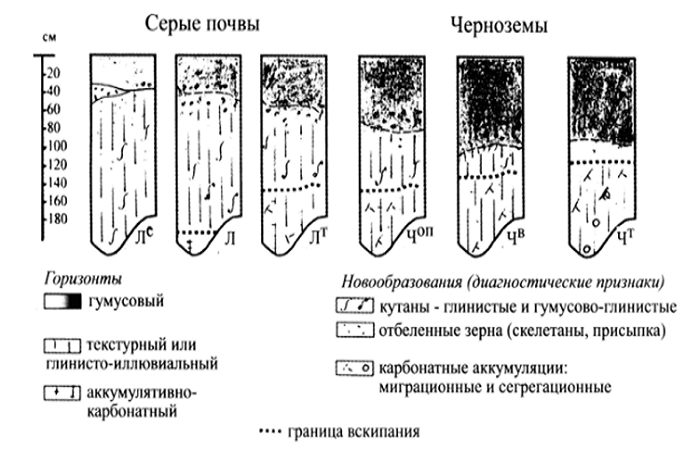 почвообразовательные процессы