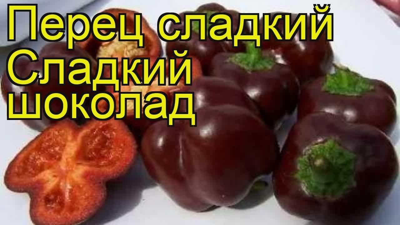 Сладкий шоколад