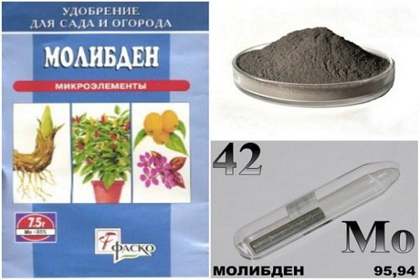 микроудобрение с молибденом